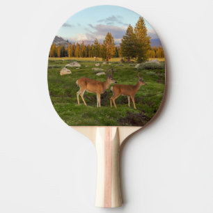 Raquette De Ping Pong Pré de Tuolumne, Yosemite
