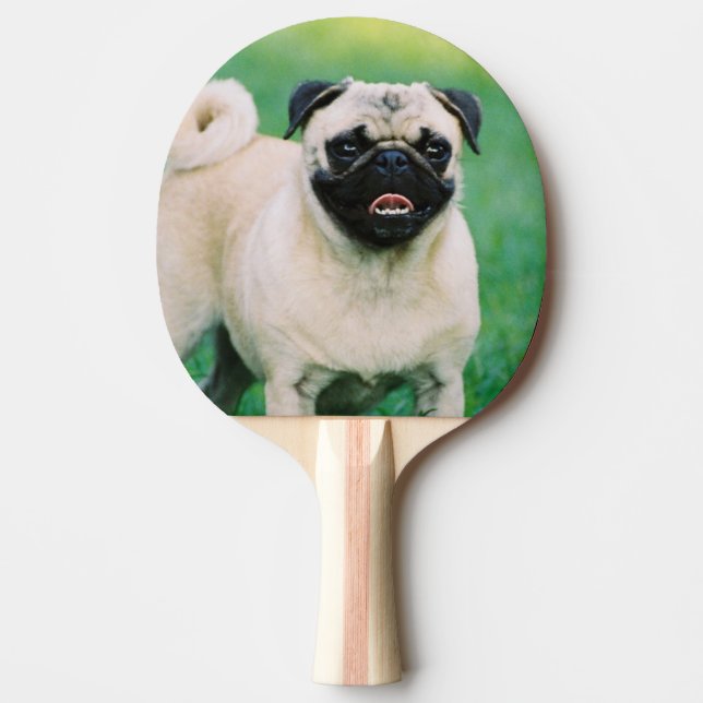 Raquette De Ping Pong pug-30.jpg (Devant)