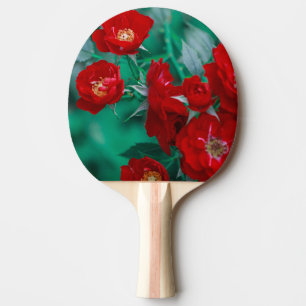 Raquette De Ping Pong Roses rouges Pale Green Feuilles