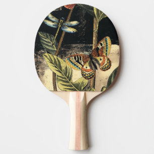 Raquette De Ping Pong Scène foncée de nature par le studio de vision