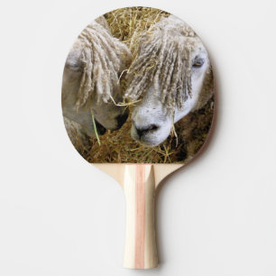 RAQUETTE DE PING PONG SHEEP
