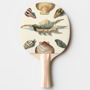 Raquette De Ping Pong Shell de fantaisie échouent