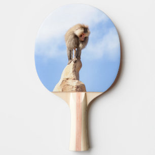Raquette De Ping Pong Singe babouin au sommet d'une montagne