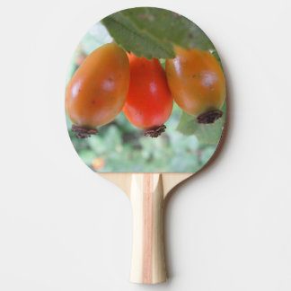 Raquette De Ping Pong Three orange rosehips