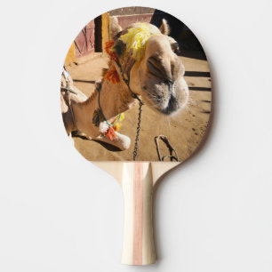 Raquette De Ping Pong Un chameau amical attend son prochain cavalier, le