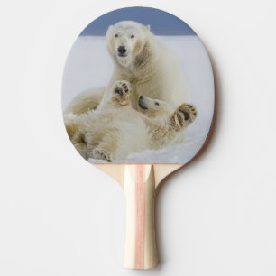 Raquette De Ping Pong Une ourse polaire et son ourson jouent dans la nei