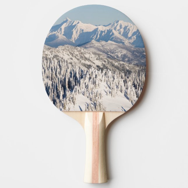 Raquette De Ping Pong Une vue pittoresque des montagnes et des arbres de (Devant)