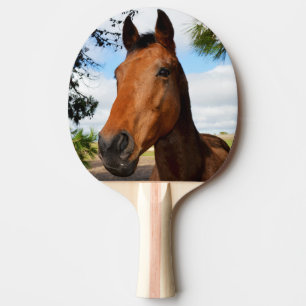 Raquette De Ping Pong Visage Brown du cheval,