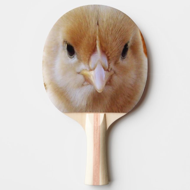 Raquette De Ping Pong Visage de poulet bébé, (Devant)