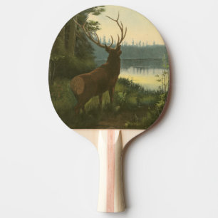 Raquette De Ping Pong Vue arrière des élans regardant au-dessus d'un lac