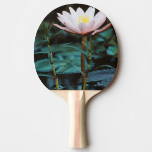 Raquette De Ping Pong Vue rapprochée de nénuphar à Inle Lake