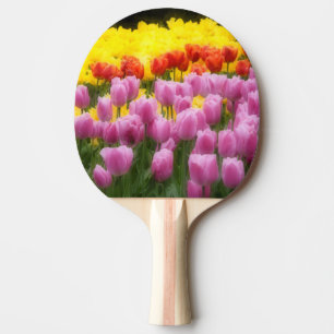 Raquette De Ping Pong WA, vallée de Skagit, jardin de tulipes Roozengaar