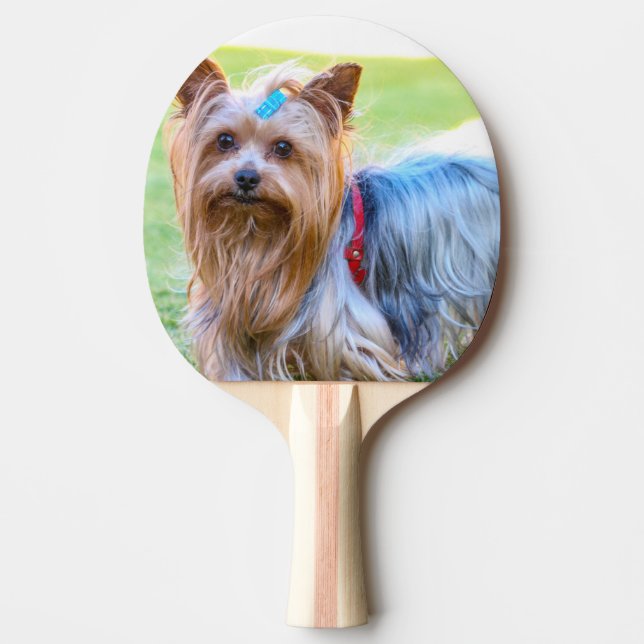 Raquette De Ping Pong Yorkshire Terrier Yorkie race préférée (Devant)
