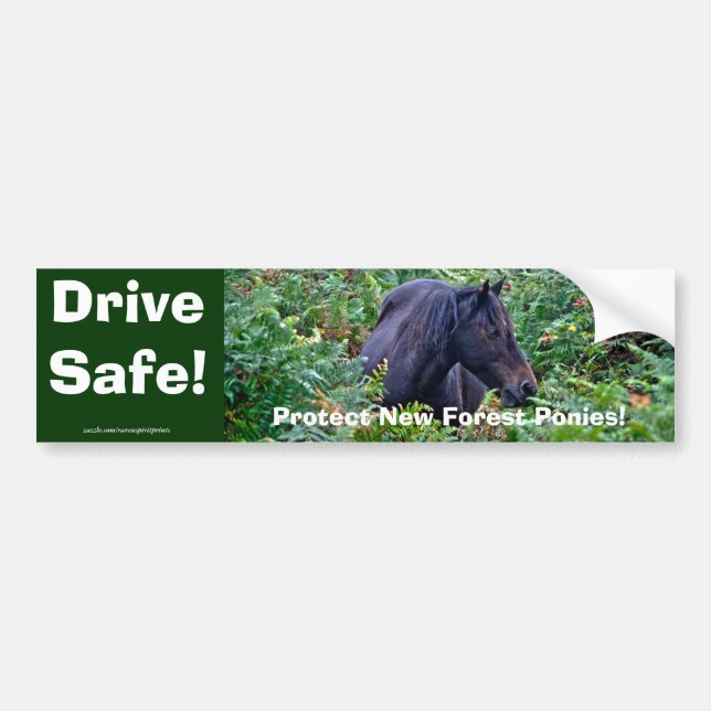 Rare Black New Forest Pony - Wild Horse - England Bumper Sticker (Front)