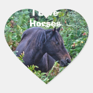 Rare Black New Forest Pony - Wild Horse - England Heart Sticker