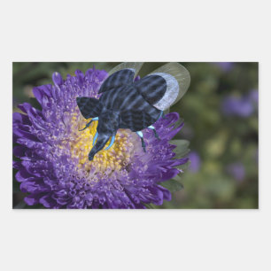 Rare Blue Elephant Bug Sticker