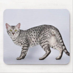 Rare Egyptian Mau Cat Mouse Pad