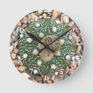 Rare Green Astrophytum Asterias Pattern Cactus Round Clock