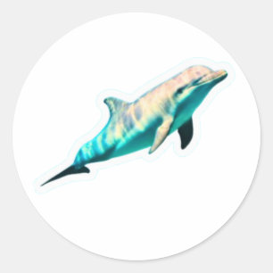 ​Rare Irrawaddy Dolphin Freshwater Pesut Mahakam S Classic Round Sticker