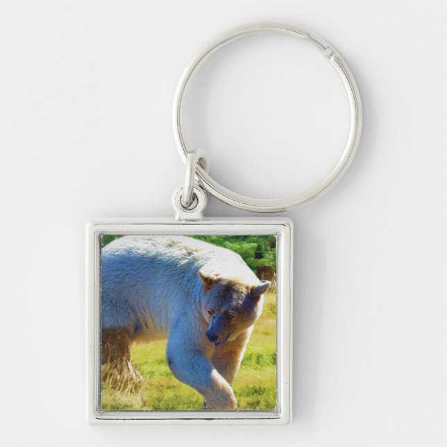 Rare Kermode Bear (Spirit Bear) Wildlife Photo Keychain (Front)