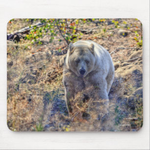 Rare Kermode Bear (Spirit Bear) Wildlife Photo Mouse Pad