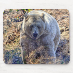 Rare Kermode Bear (Spirit Bear) Wildlife Photo Mouse Pad