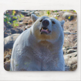 Rare Kermode Bear (Spirit Bear) Wildlife Photo Mouse Pad