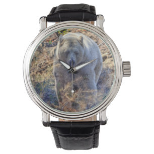 Rare Kermode Bear (Spirit Bear) Wildlife Photo Watch
