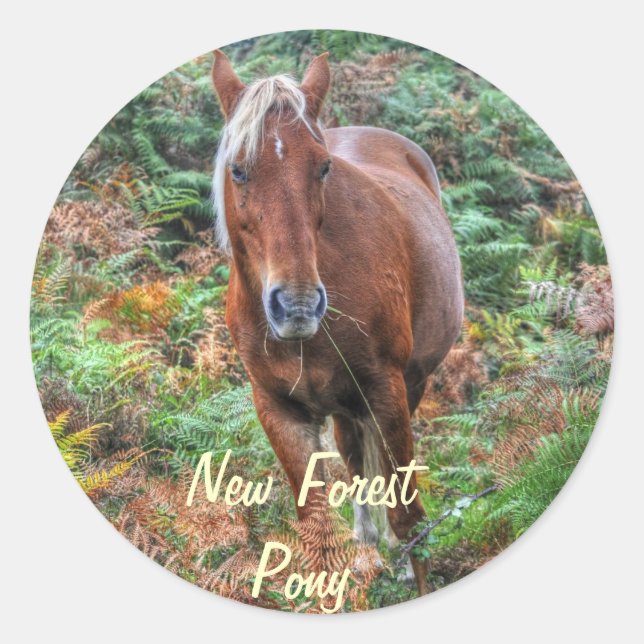 Rare Palomino New Forest Pony & Bracken - England Classic Round Sticker (Front)