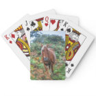 Rare Palomino New Forest Pony & Bracken - England