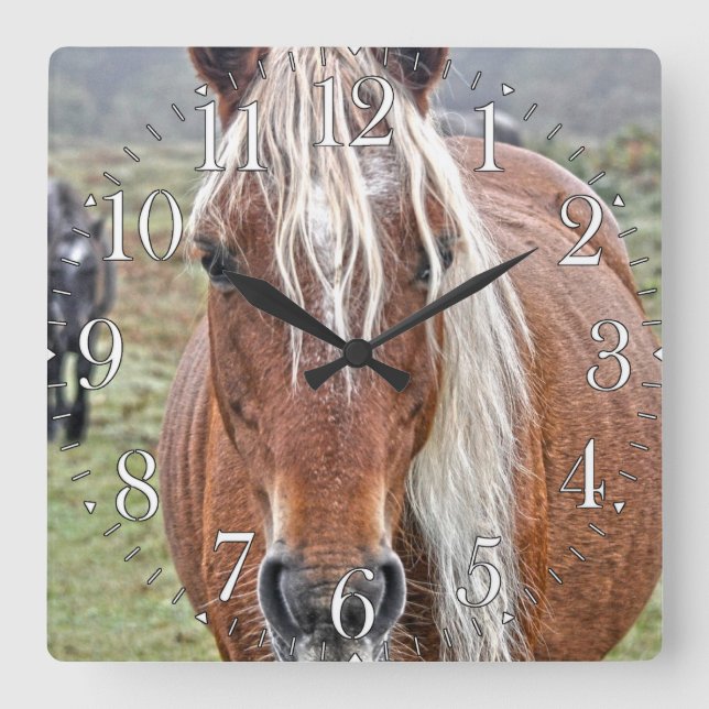 Rare Palomino New Forest Pony Wild Horse - England Square Wall Clock (Front)