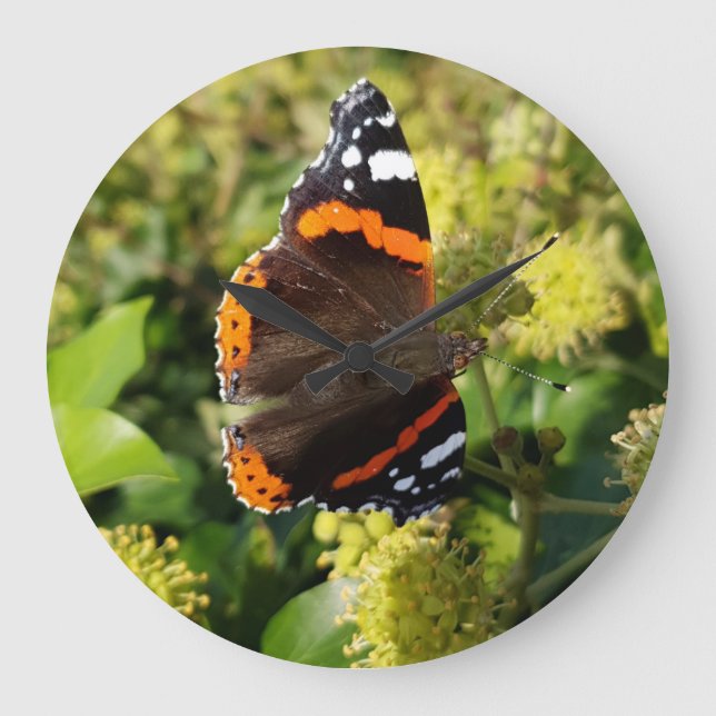 Rare Red Admiral Butterfly in the Sun on Flowers Large Clock (Front)
