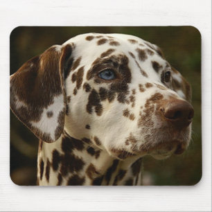 Rare Spotted Brown Dalmatian   Liver Dalmation Mouse Pad