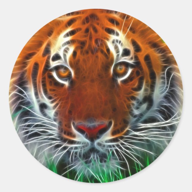 Rare Sumatran Tiger from Indonesia Classic Round Sticker (Front)