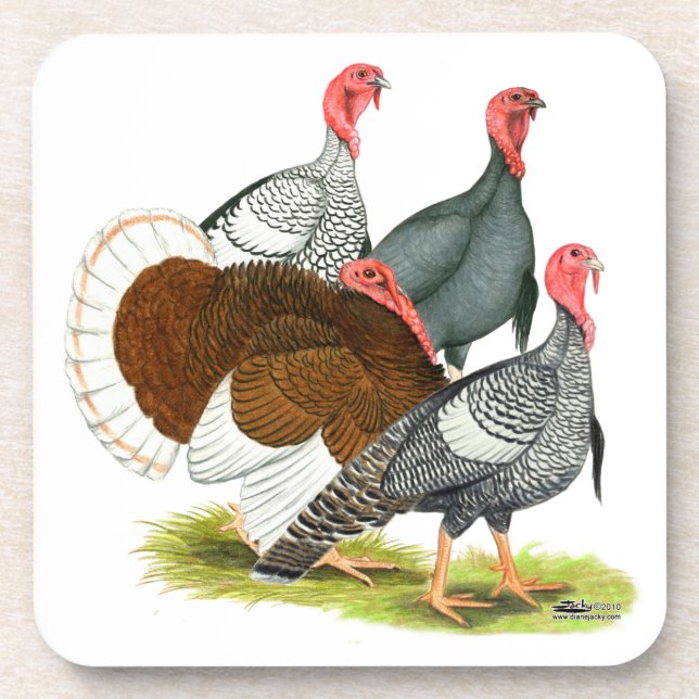 Rare Turkey Quartet Coaster (Front)
