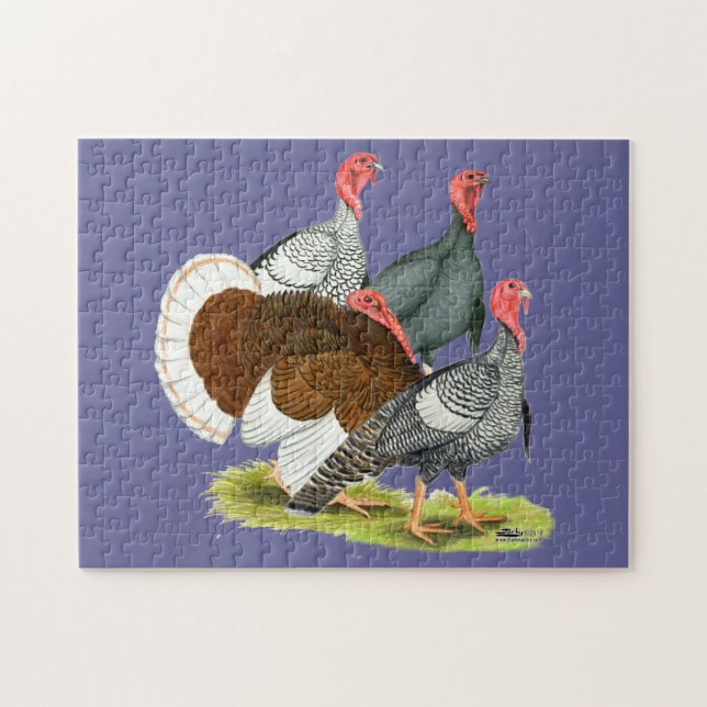 Rare Turkey Quartet Jigsaw Puzzle (Horizontal)