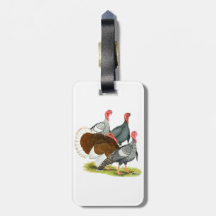 Rare Turkey Quartet Luggage Tag