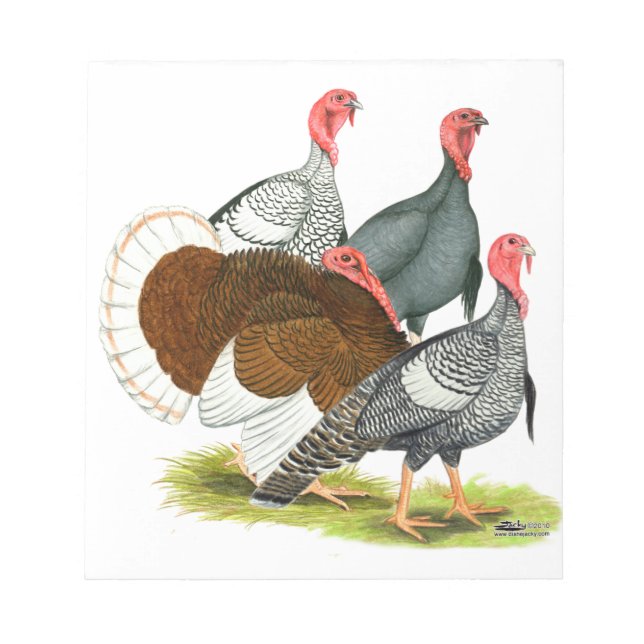 Rare Turkey Quartet Notepad (Front)