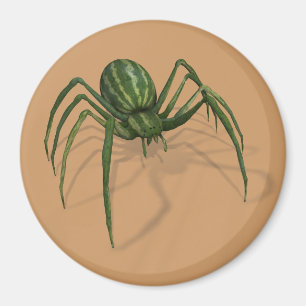 Rare Watermelon Spider Magnet