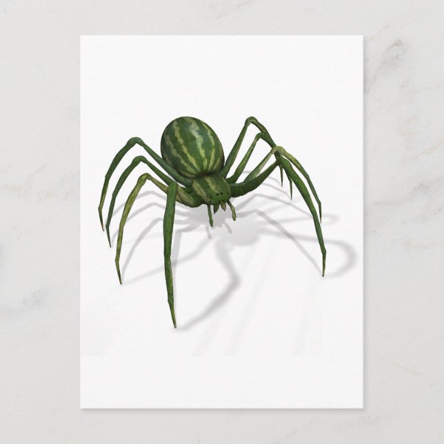 Rare Watermelon Spider Postcard (Front)