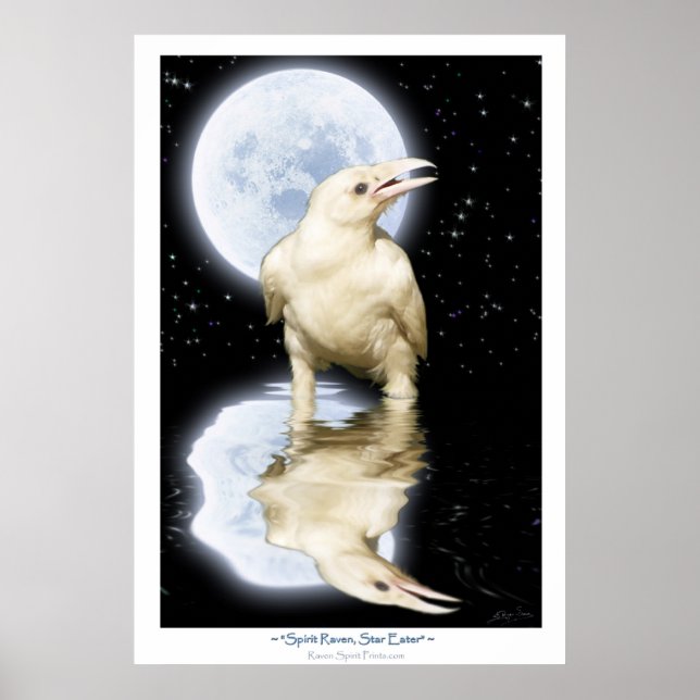 Rare WHITE RAVEN Fantasy Art Poster (Front)
