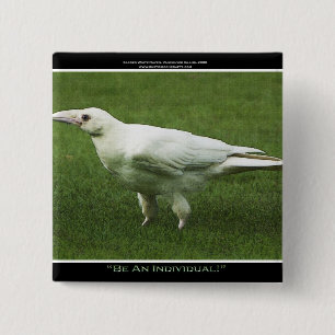 Rare White Raven Motivation Pin