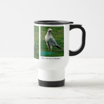 Rare White Raven Wildlife Photo