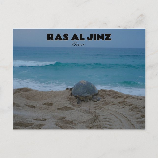 Ras al Jinz postcard  (Front)