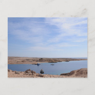 Ras Mohamed Nature Preserve Park, Sinai, Egypt Postcard