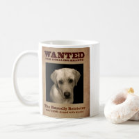 Rascally Retriever, aka Yellow Lab