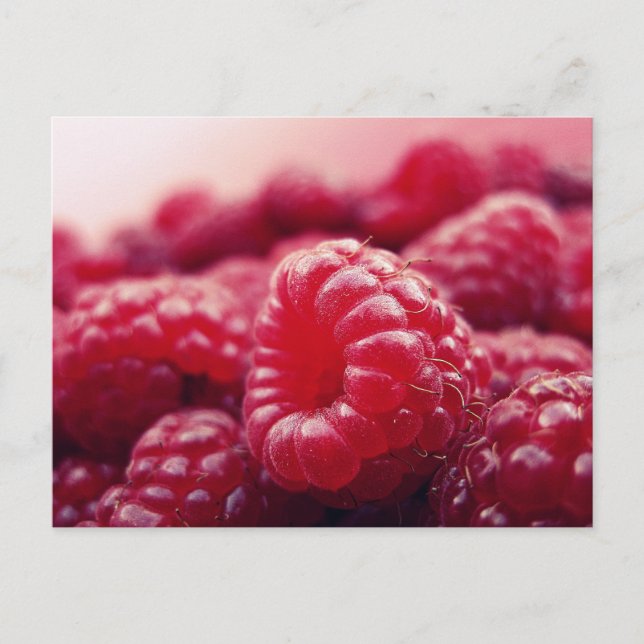 Raspberries 6 postcard (Front)