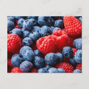 Raspberries and Blueberries Postcard