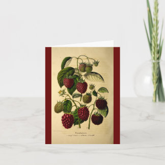 Raspberries Card