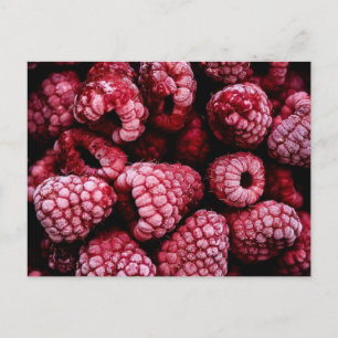 Raspberries Fresh Red Postcard